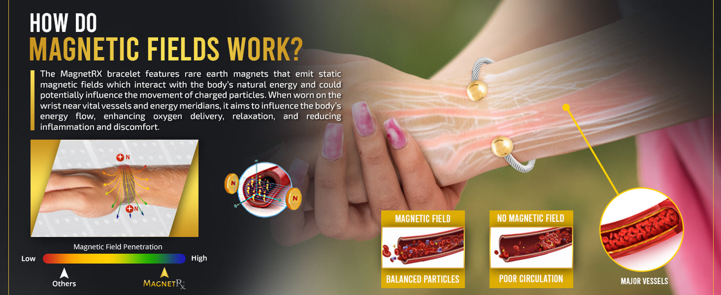 Pulsera Biomagnetica Acero Con Imanes Curativos Salud Artritis